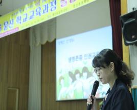 사진11