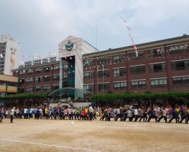 사진7