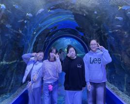 사진11