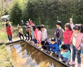 사진7