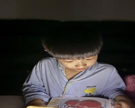 사진0