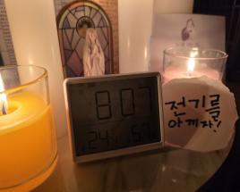 사진8