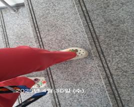 사진8