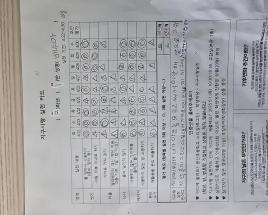 사진7